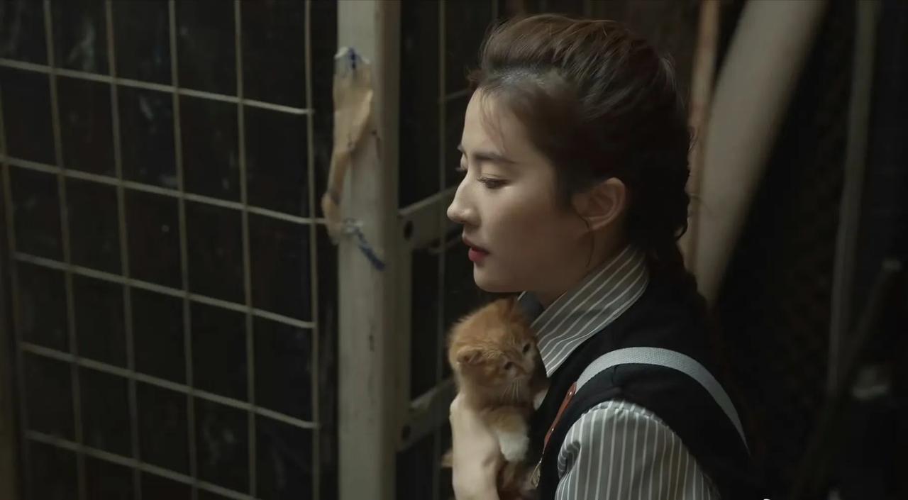 丢丢是《玫瑰的故事》最大穿帮，这明显不是同一只。图1、2是橘白色（脸上和胸口白毛