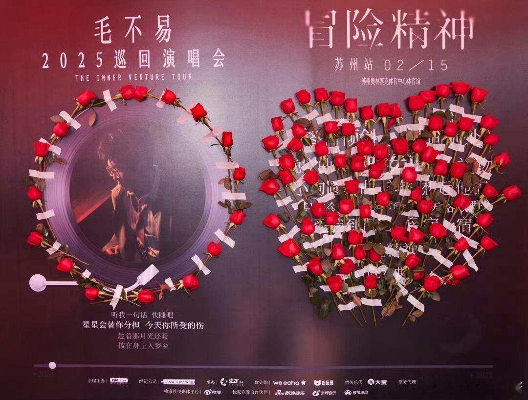 毛不易浪漫疯子   没到现场，光是看毛不易的视频，心就被狠狠击中了！你的温柔与浪