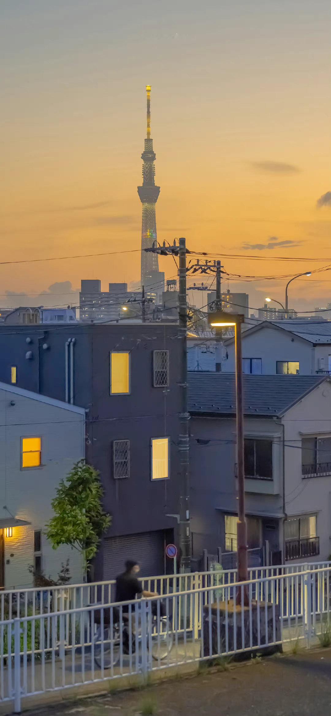 我自诩大艺术家，见蓝便是克莱因蓝，见棕便是凡戴克棕，可真当见到你的一瞬间，我的世