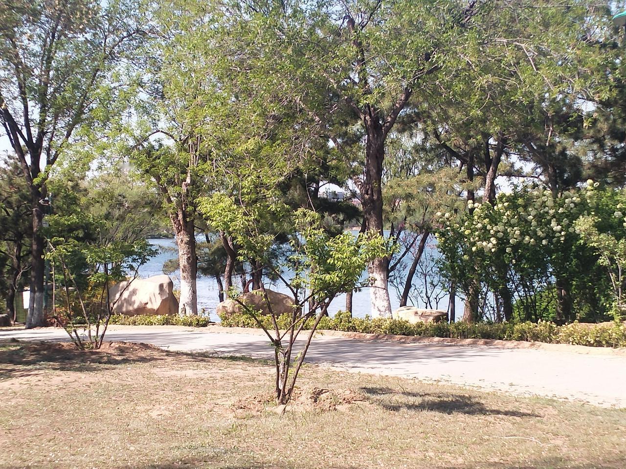 新鲜出炉的照片