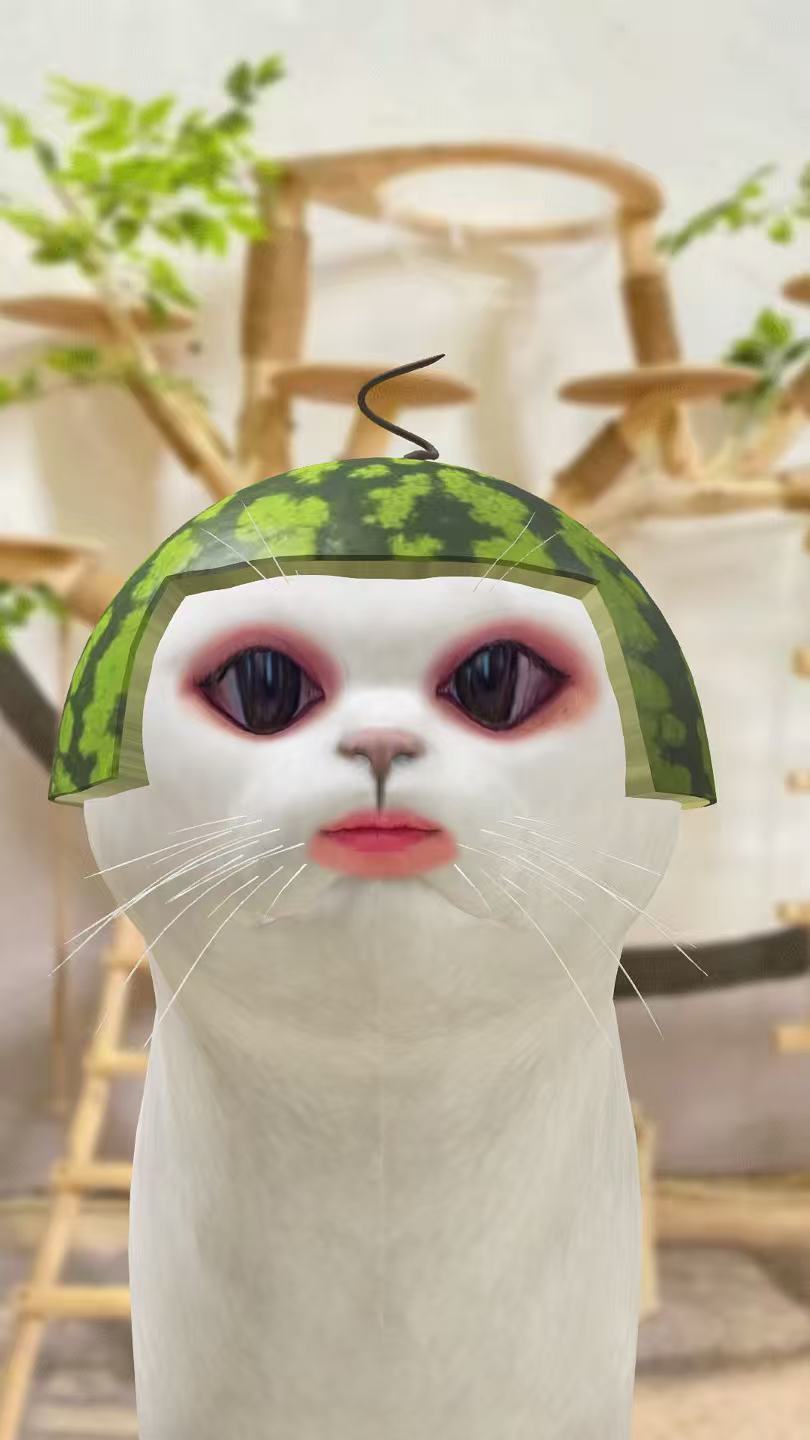 准备去接女朋友回来了[嘻嘻][嘻嘻] ​​​