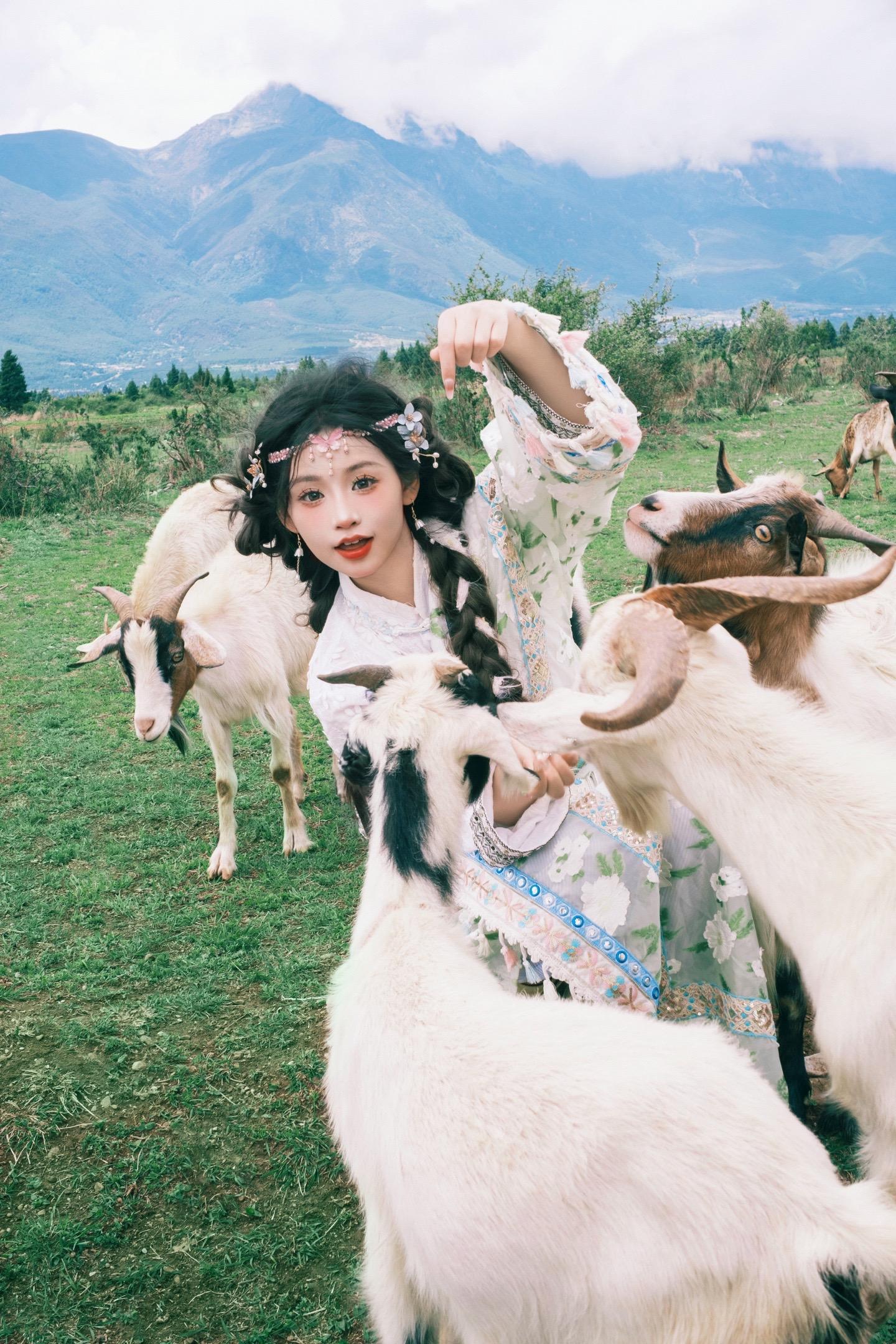 谁懂藏服抱小羊对一个女大学生的魅力啊丨丽江写真 先生 我出不了神山，你...