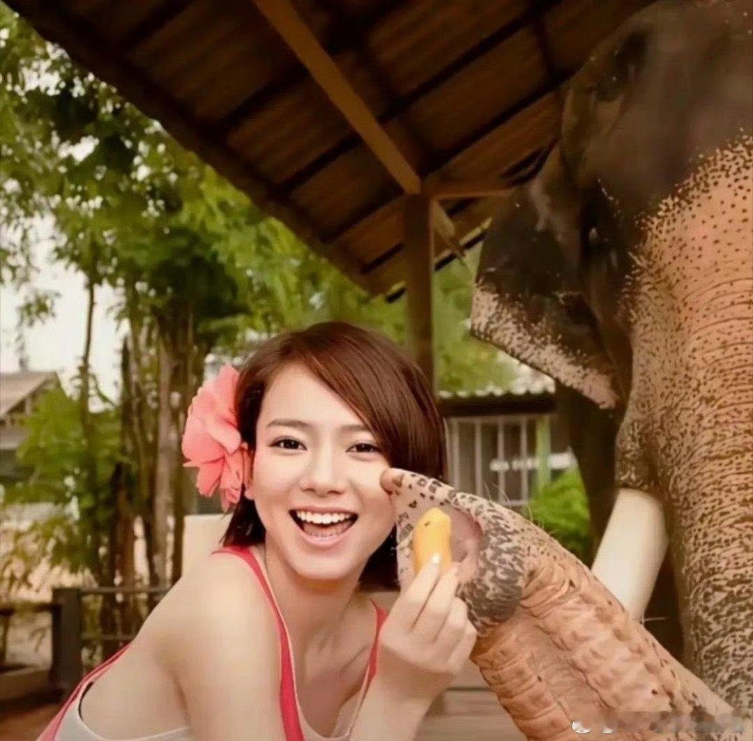 原来戚薇以前长这样的，难怪一直火到现在。 