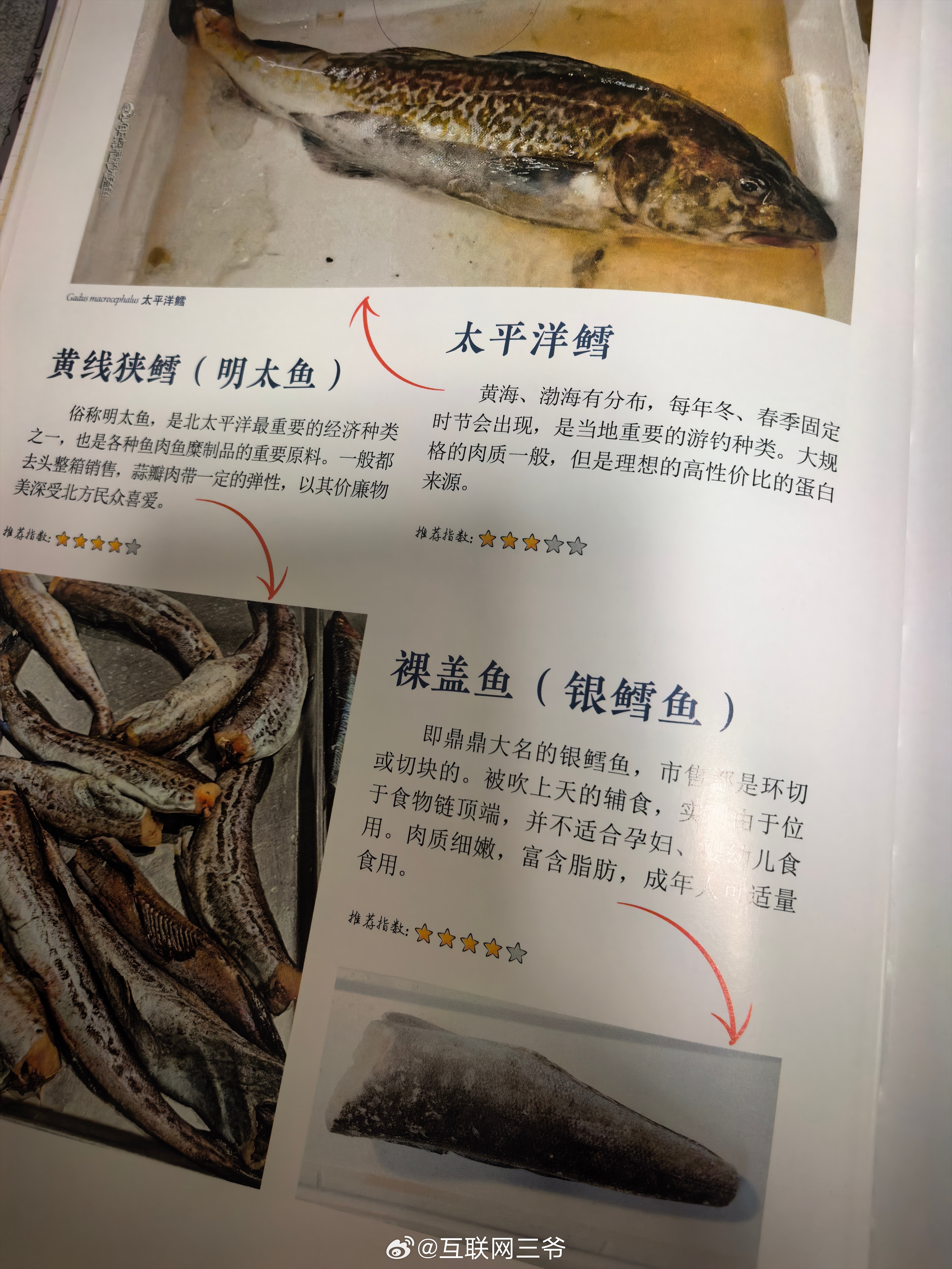 盒马银鳕鱼 汞中毒这玩意跟盒马有什么关系，很多平台也都上架银鳕鱼。本质上是银鳕鱼