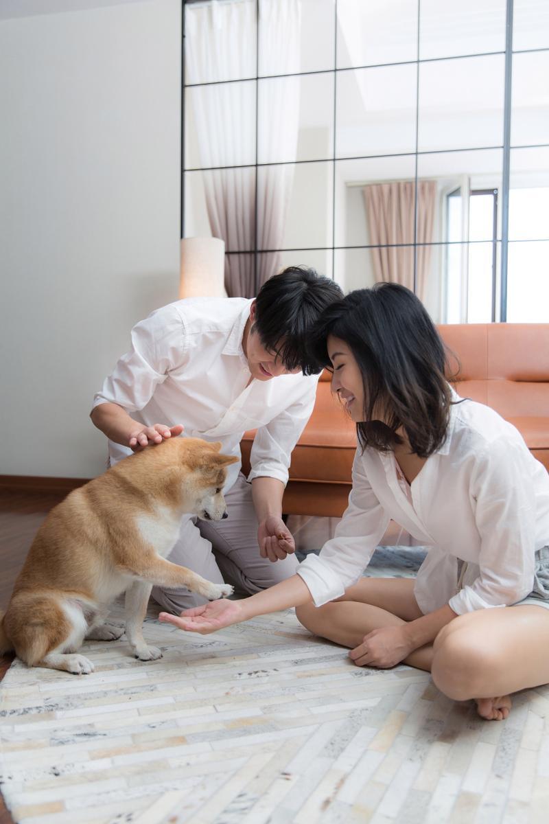 这是当今社会的真实写照，尤其是年轻人把本应该给自己的父母的爱，全部转移到饲养的宠