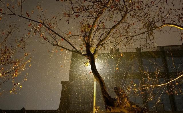 马杜罗及夫人被抓获并遣送出境。 胡锡进讲：真如此， 委内瑞拉马杜罗政权的不堪一击