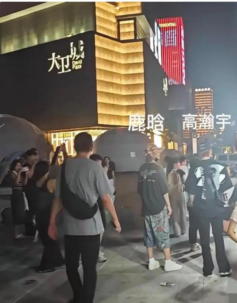 鹿晗与高瀚宇郑州逛街，鹿晗衣着花哨，绿色头发戴恐龙头套标新立异引粉丝围堵，高瀚宇