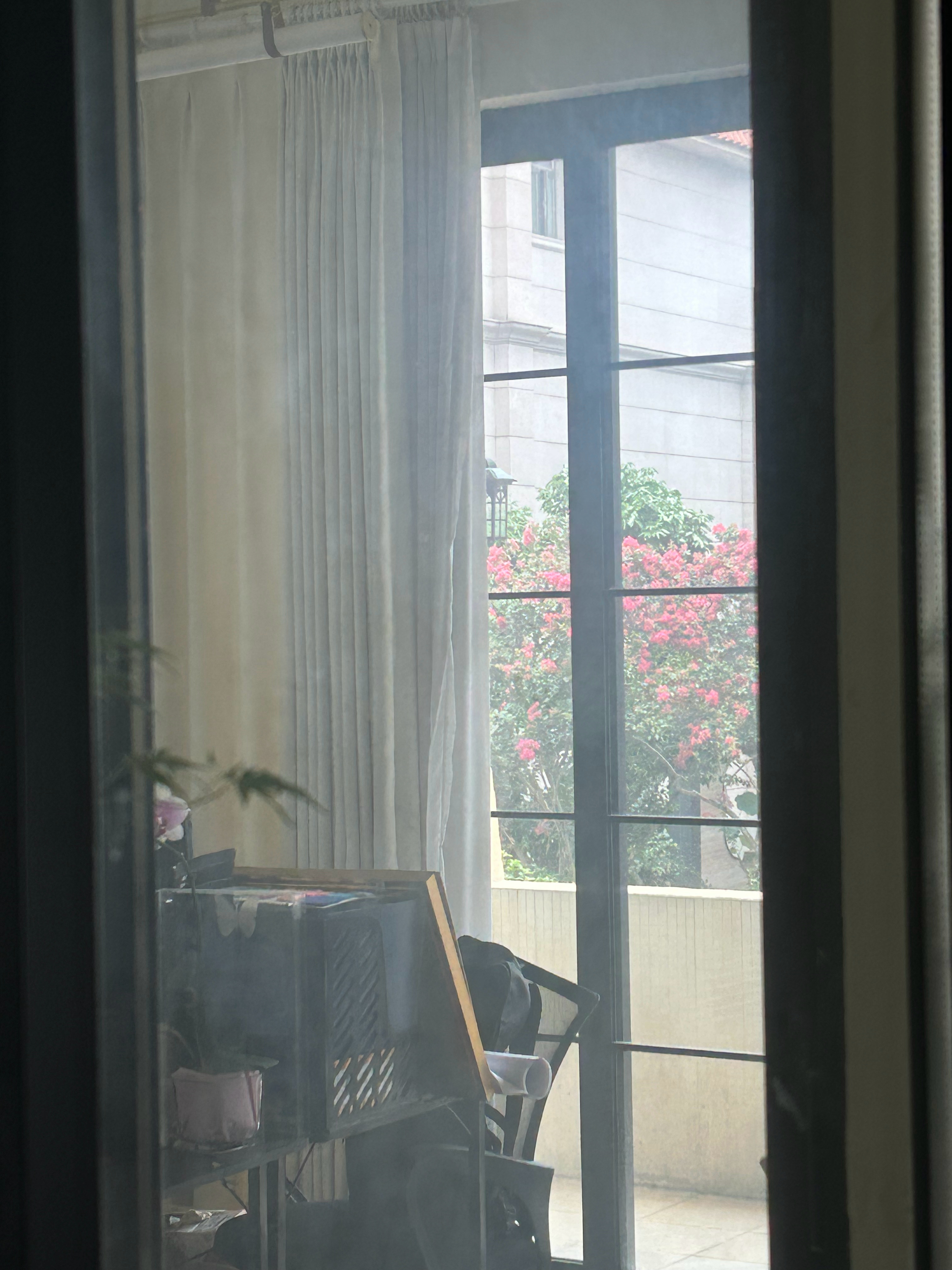 办公室这个景 绝了