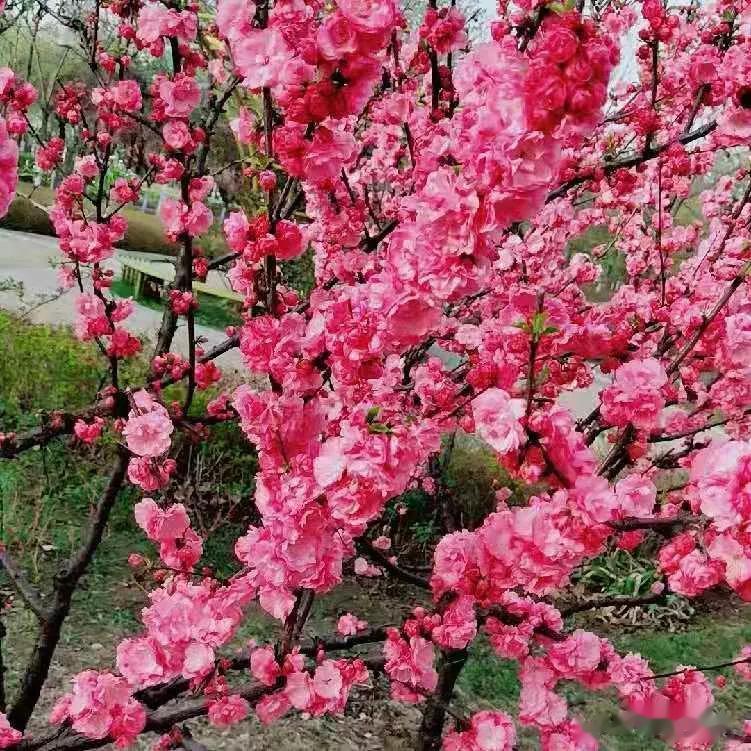 五月，做一个内心充满阳光的人，
对每一件热爱的事物全力以赴，
生活简单日子温暖，