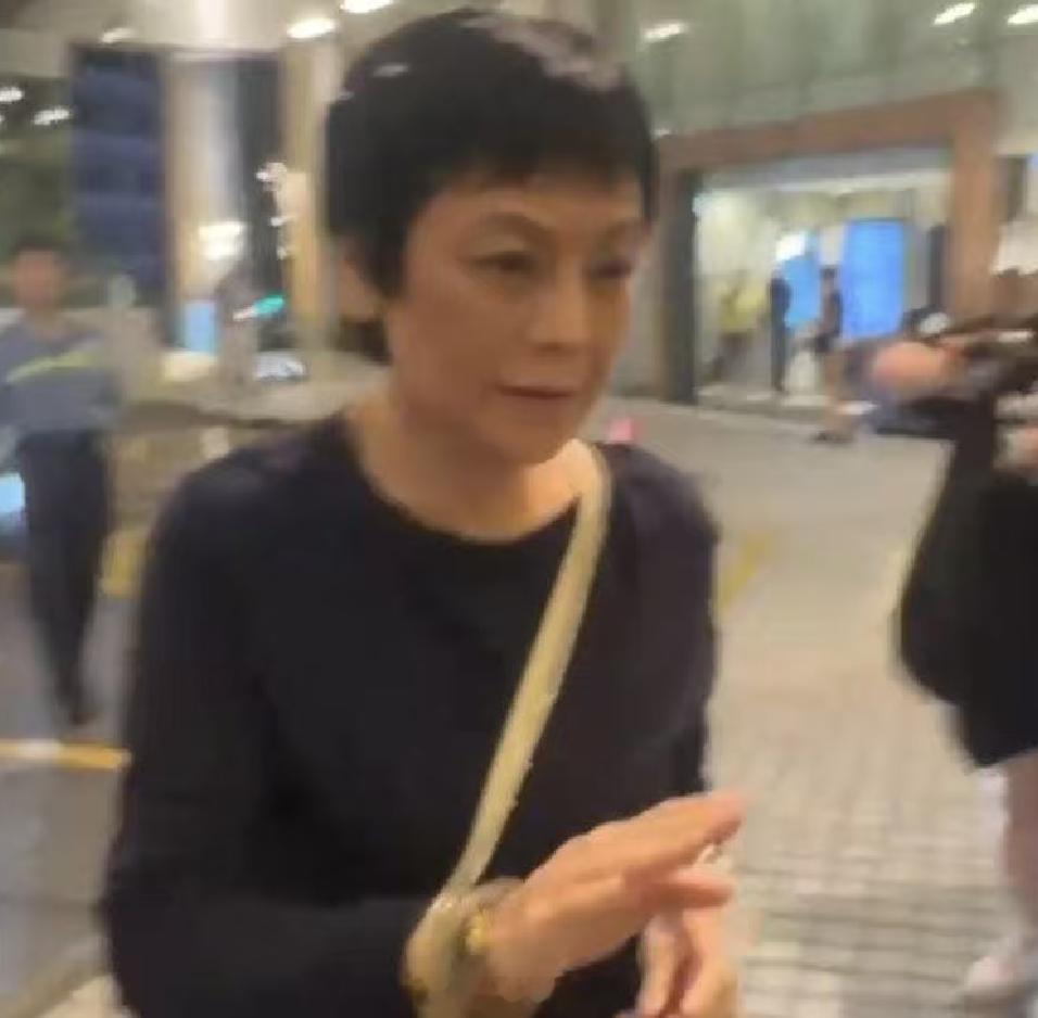 张艾嘉未回应施南生情况  据港媒爆料，施南生近日突传出病重留院，现正接受治疗。港