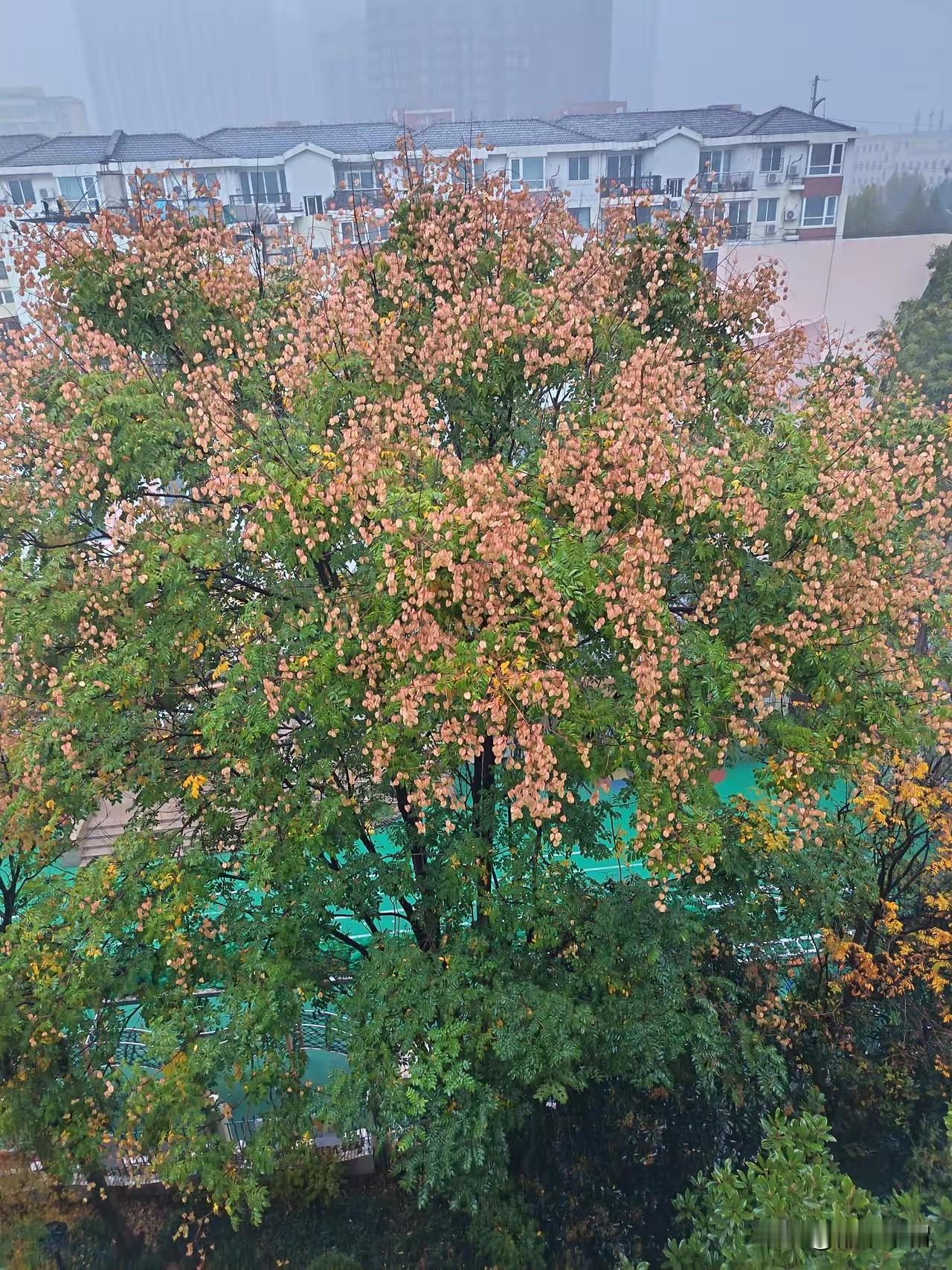 对一般人来说，写头条赚钱就是做梦。

梦想不能成真，还耽误许多大事。比如你孩子高