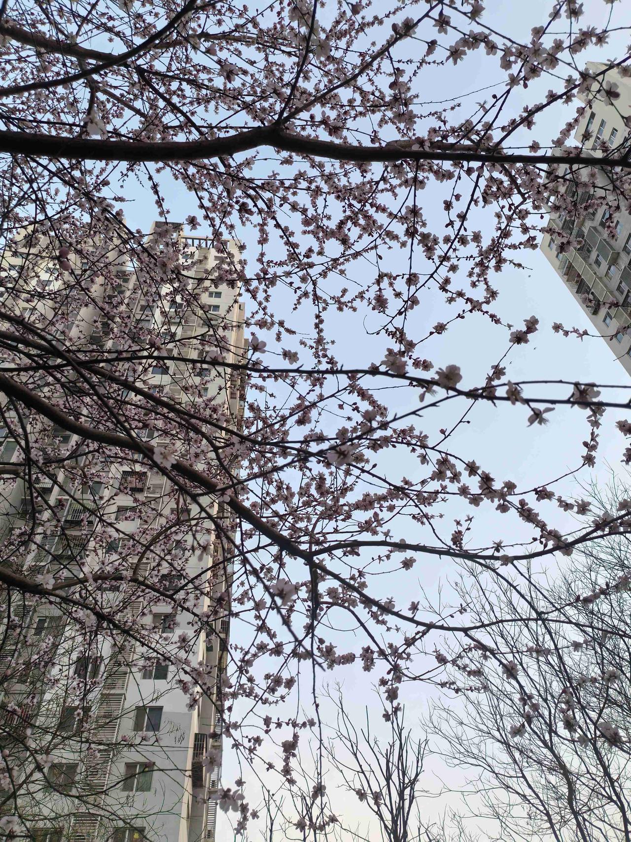 我的今日状态：💰期待暴富
我这里的天气：☀️晴天
