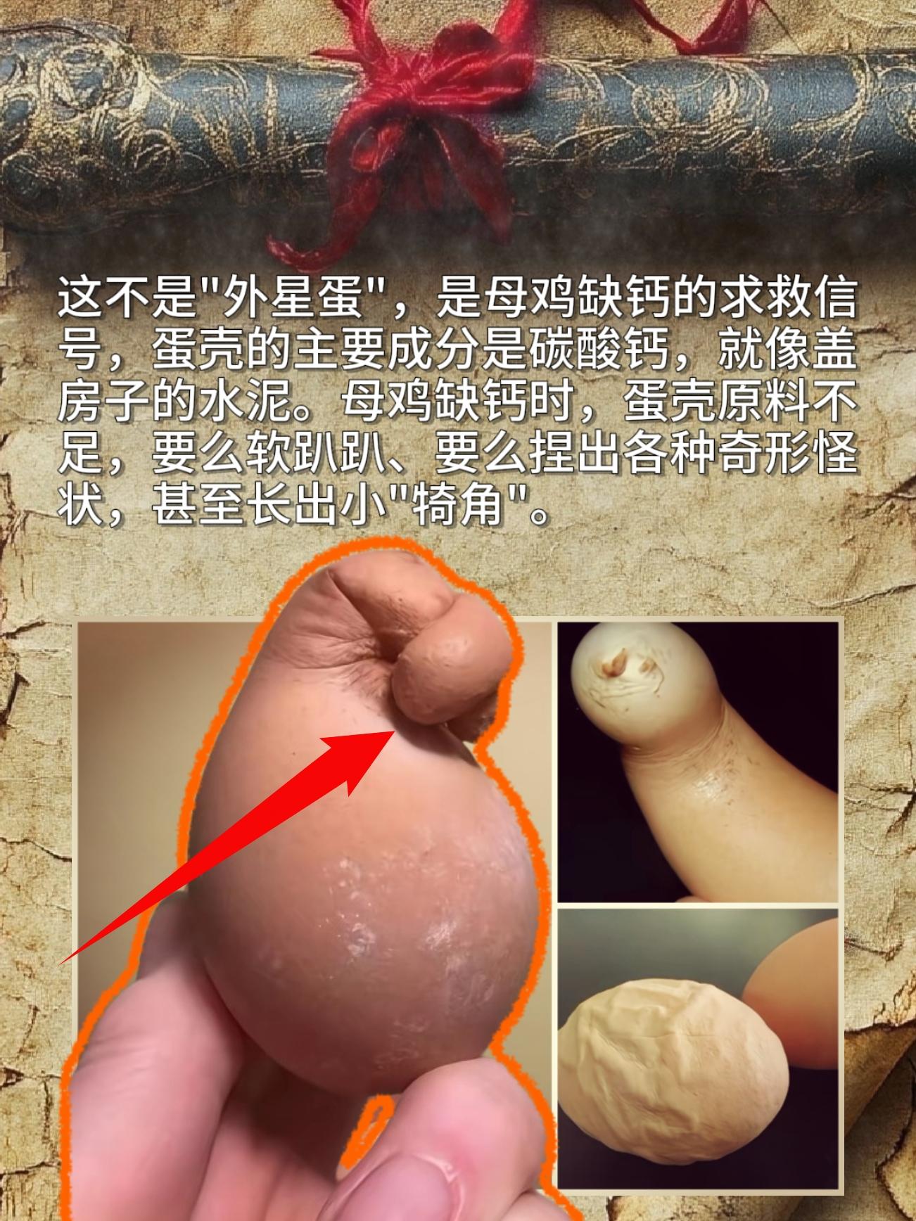 这不是"外星蛋"，是母鸡缺钙的求救信号，蛋壳的主要成分是碳酸钙，就像盖...