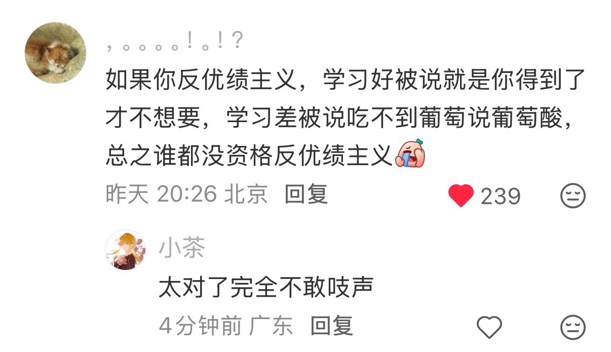 世界上没有真正的苏格兰人，没有真正的感同身受，没有人有资格反对优绩主义 