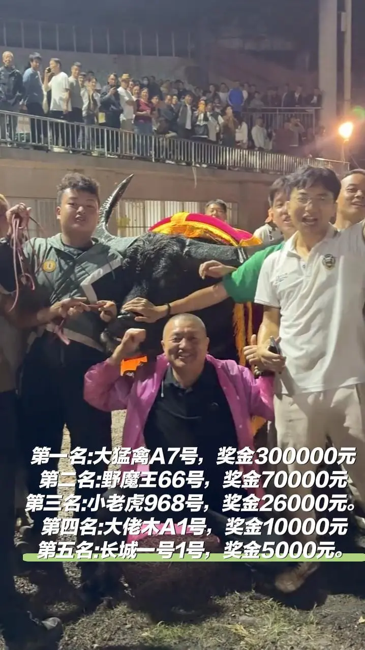 牛王争霸赛 冠军牛王 大猛禽牛王