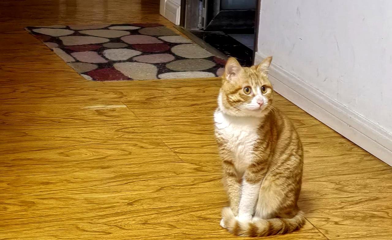 别人一问“明天有事吗”，很多人张嘴就说“有，没空”。
说白了，这一下就把气氛弄僵