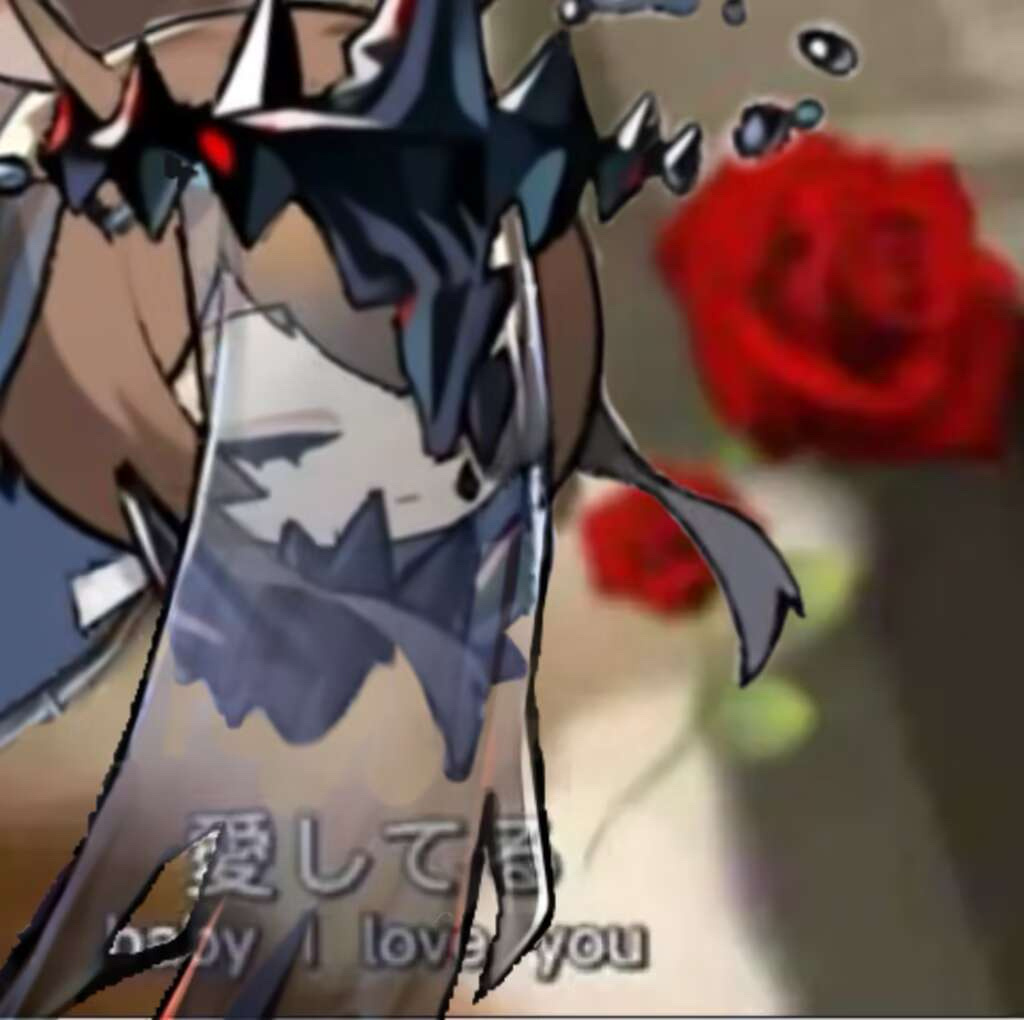 14525献花 ​​​