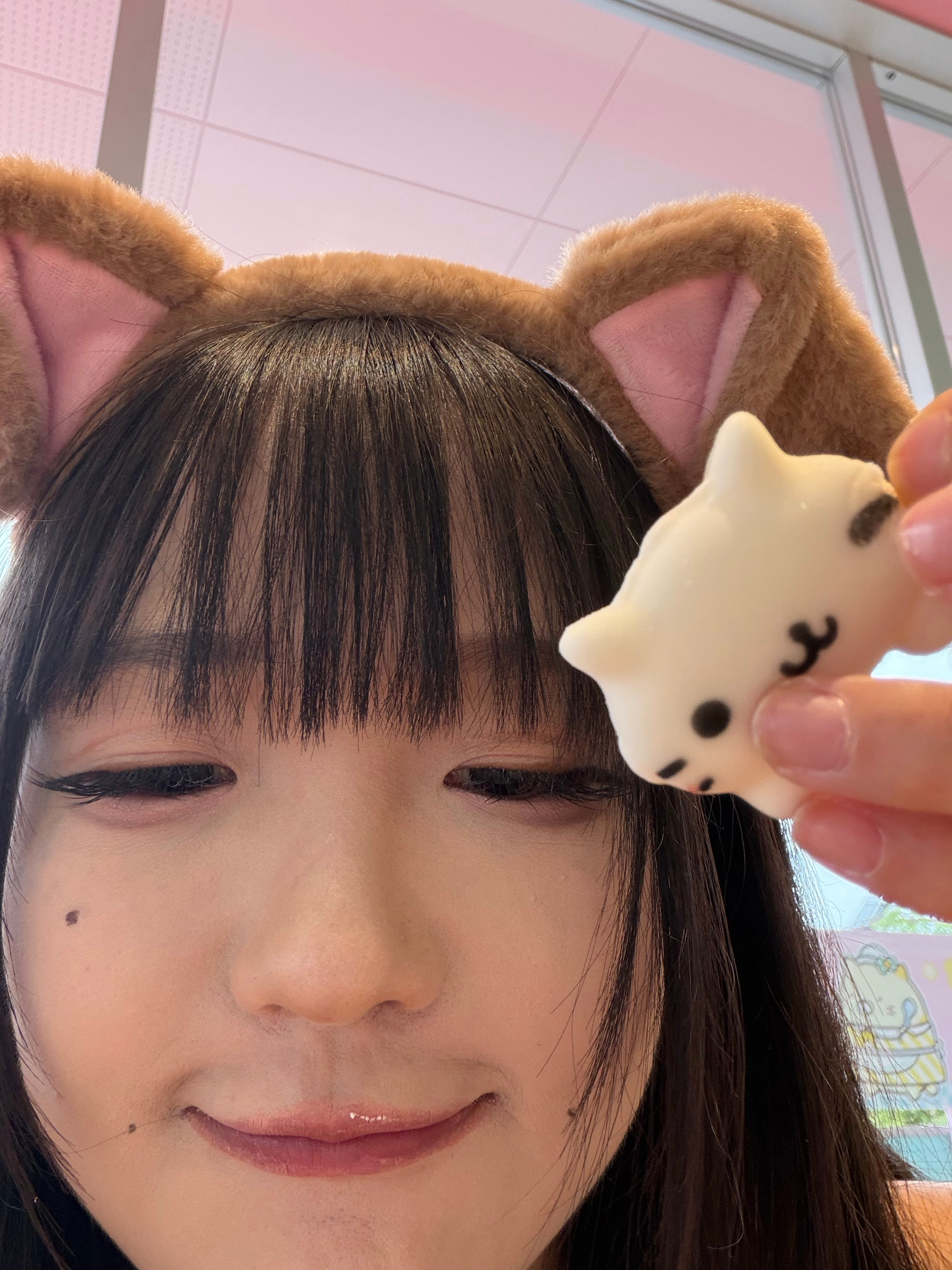 呵呵，有什么了不起的，猫 ​​​