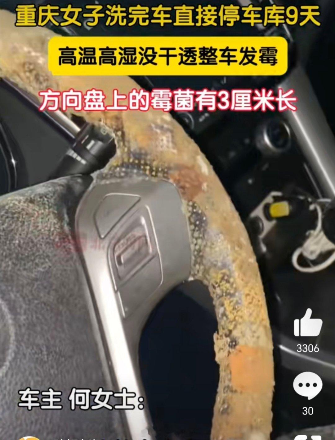 女子洗车9天方向盘长出3cm霉菌天哪，看到这样车都不想要了[允悲]，看着都起鸡皮