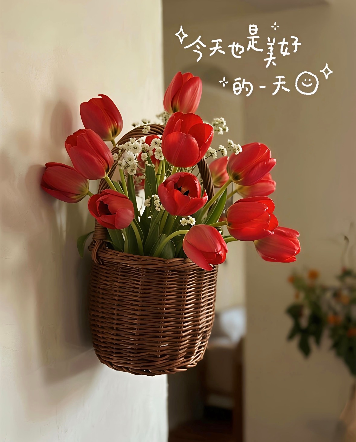晨光温柔，日子清甜。今天是美好的一天，带好心情出发，早餐要暖，脚步要轻，笑容要亮