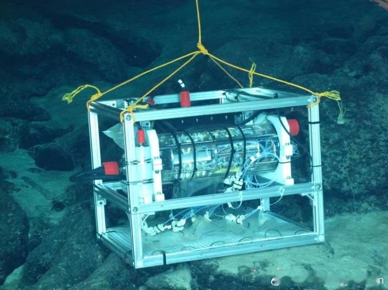 最新科技消息 【我国在深海原位实验研究领域获进展】中国科学院“全球深渊深潜探索计