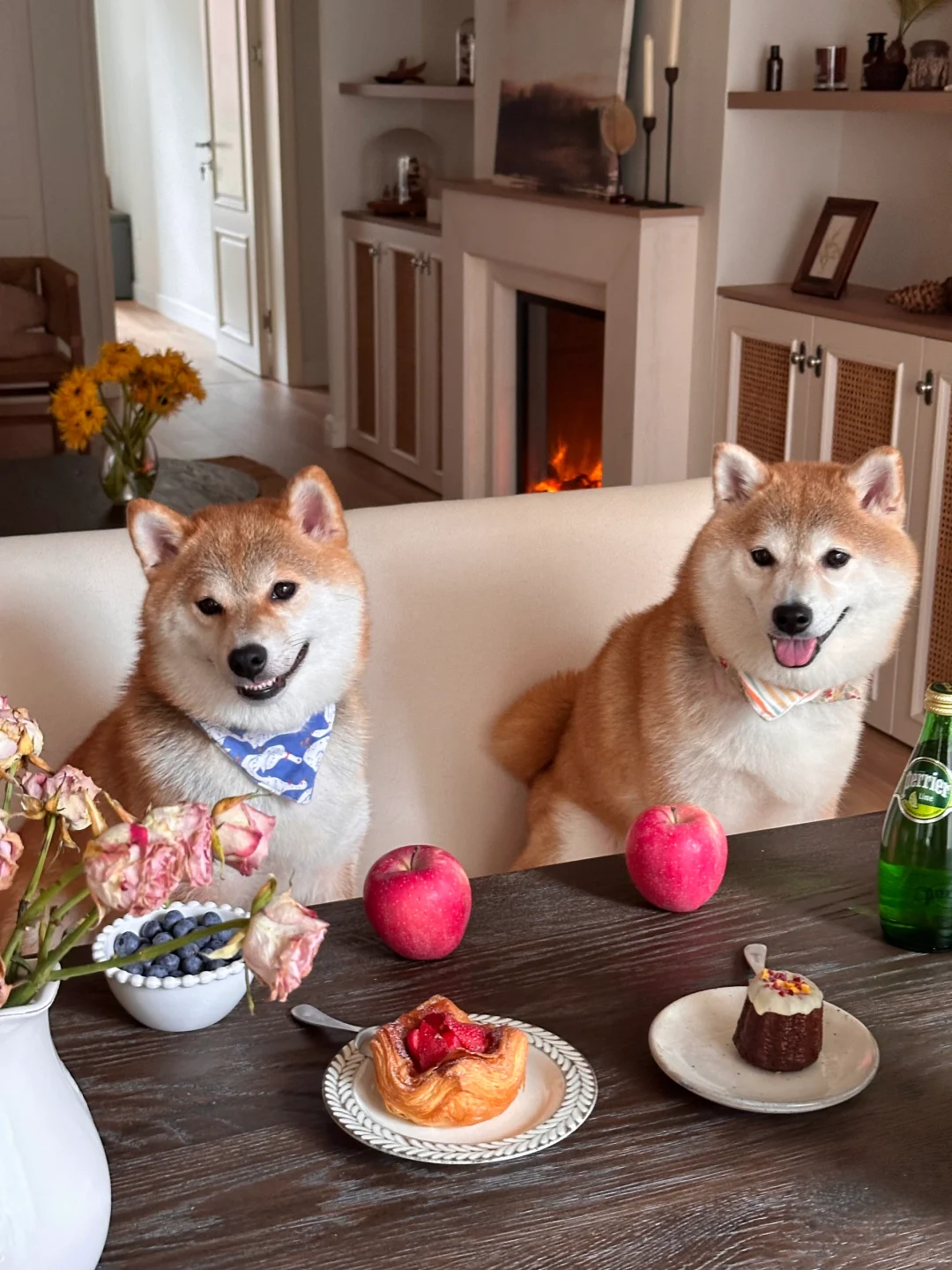 真的不给宝宝吃一口吗？🐶