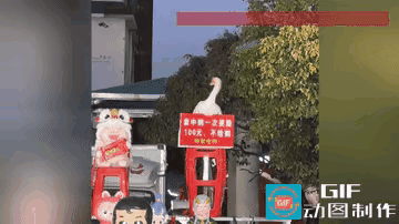 这只大鹅火了！安徽集市这只“打工鹅”直接凭实力走红，笑翻全网！
 
摊位写着套中