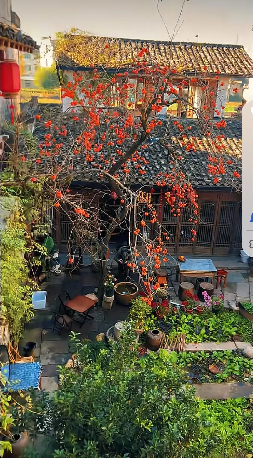 这是个杀熟的世界 ，如果熟人不害你外人很难下手。
