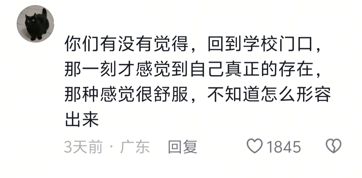 当时只道是寻常啊 