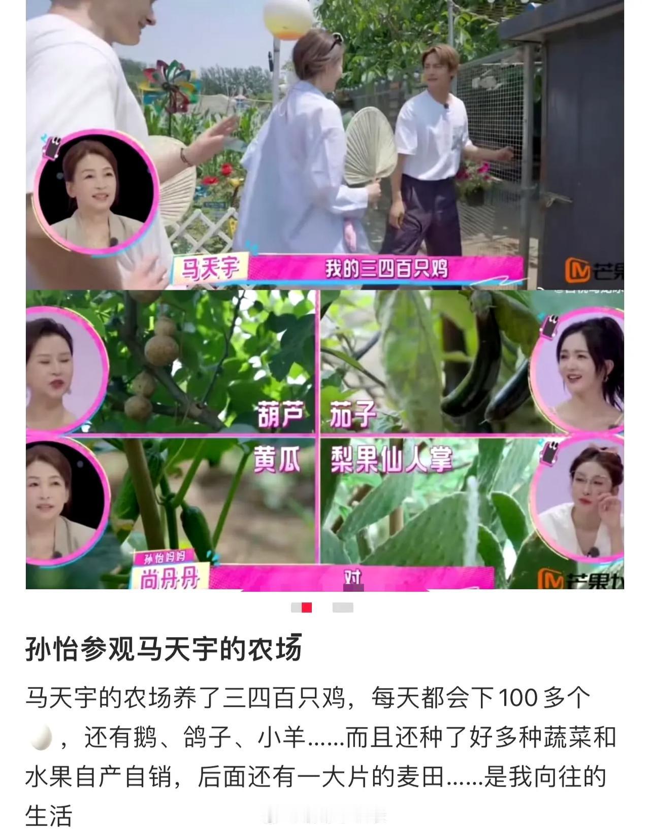 当红艺人与三四百只鸡的奇妙共生，藏着对抗喧嚣的生活智慧。每日百枚鸡蛋的收获，不是