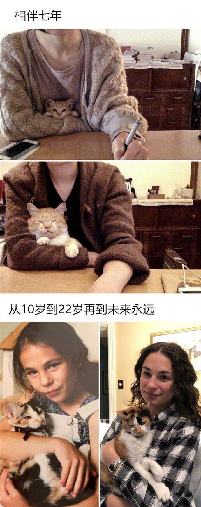 可爱的猫咪总能点亮人的一天，我们整理了15张暖心的猫咪照片，希望它背后的故事能够