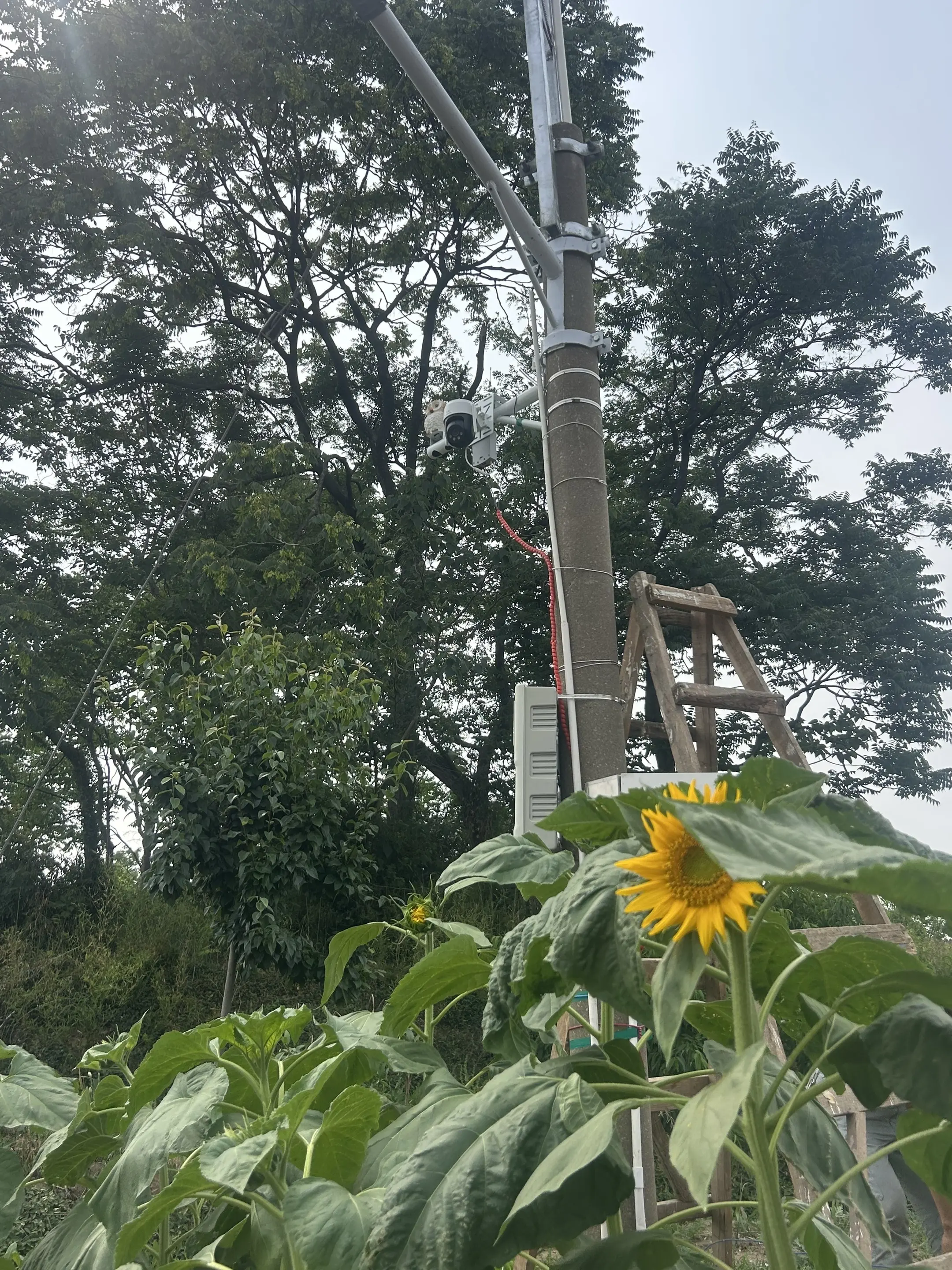 结束户外