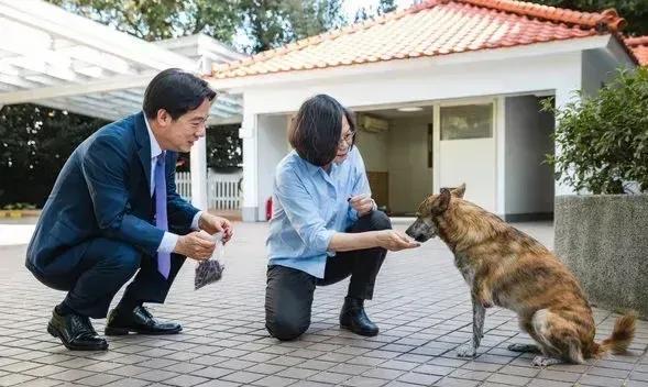 图片标题：一家三口的故事[狗头][狗头]
据报道，蔡某人今天给赖某人的狗儿子送了