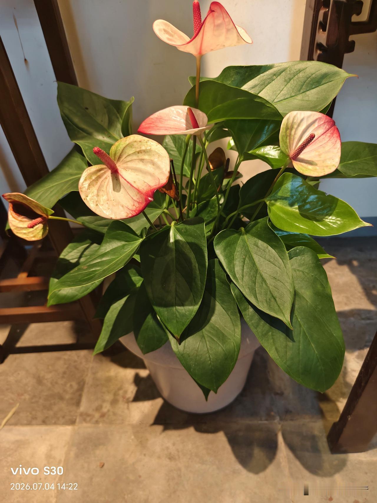 夏日生活打卡季
