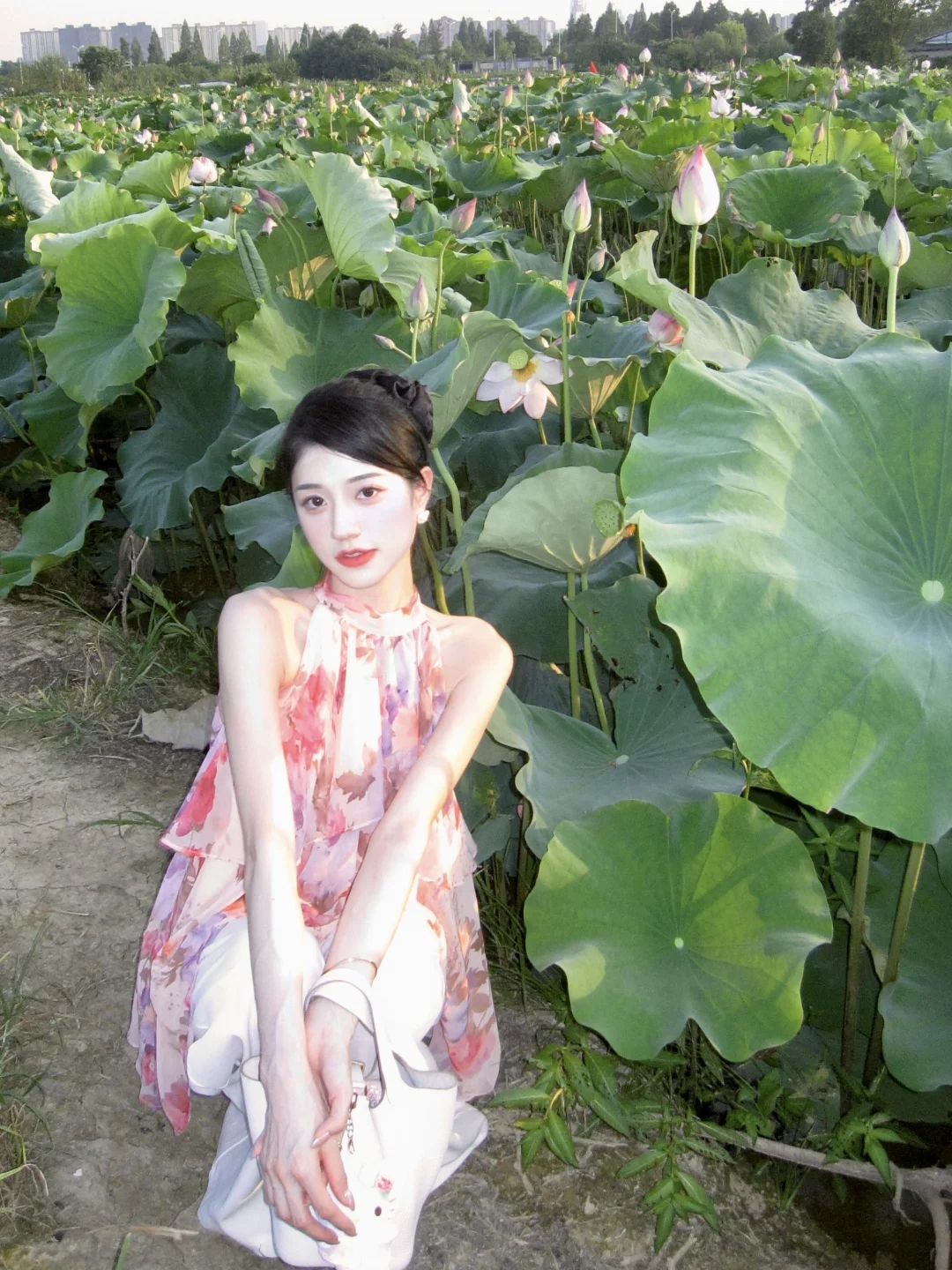 好运莲莲🪷