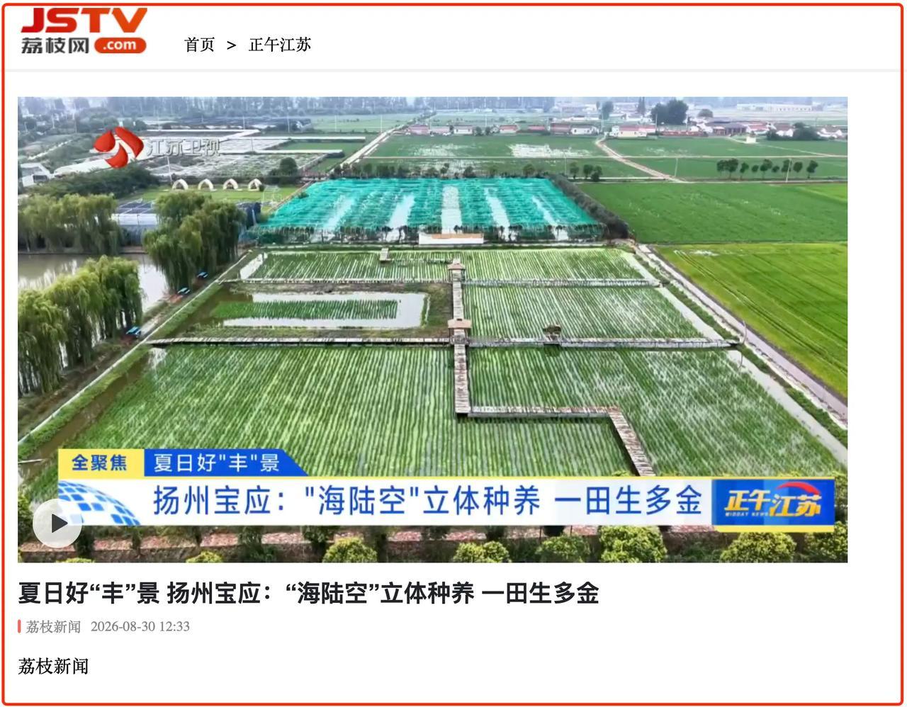 宝应登上省电视台
8月30日，江苏卫视《正午江苏》推出专题报道，点赞宝应生态循环