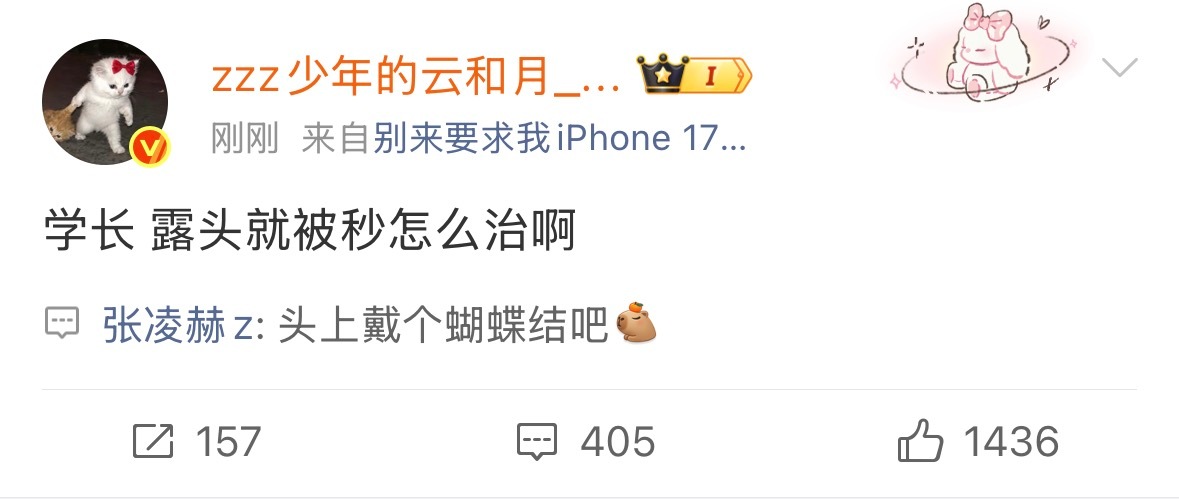 原来是根据小核桃头像回复的！！哥哥差点又抛媚眼给瞎子看了！！ 