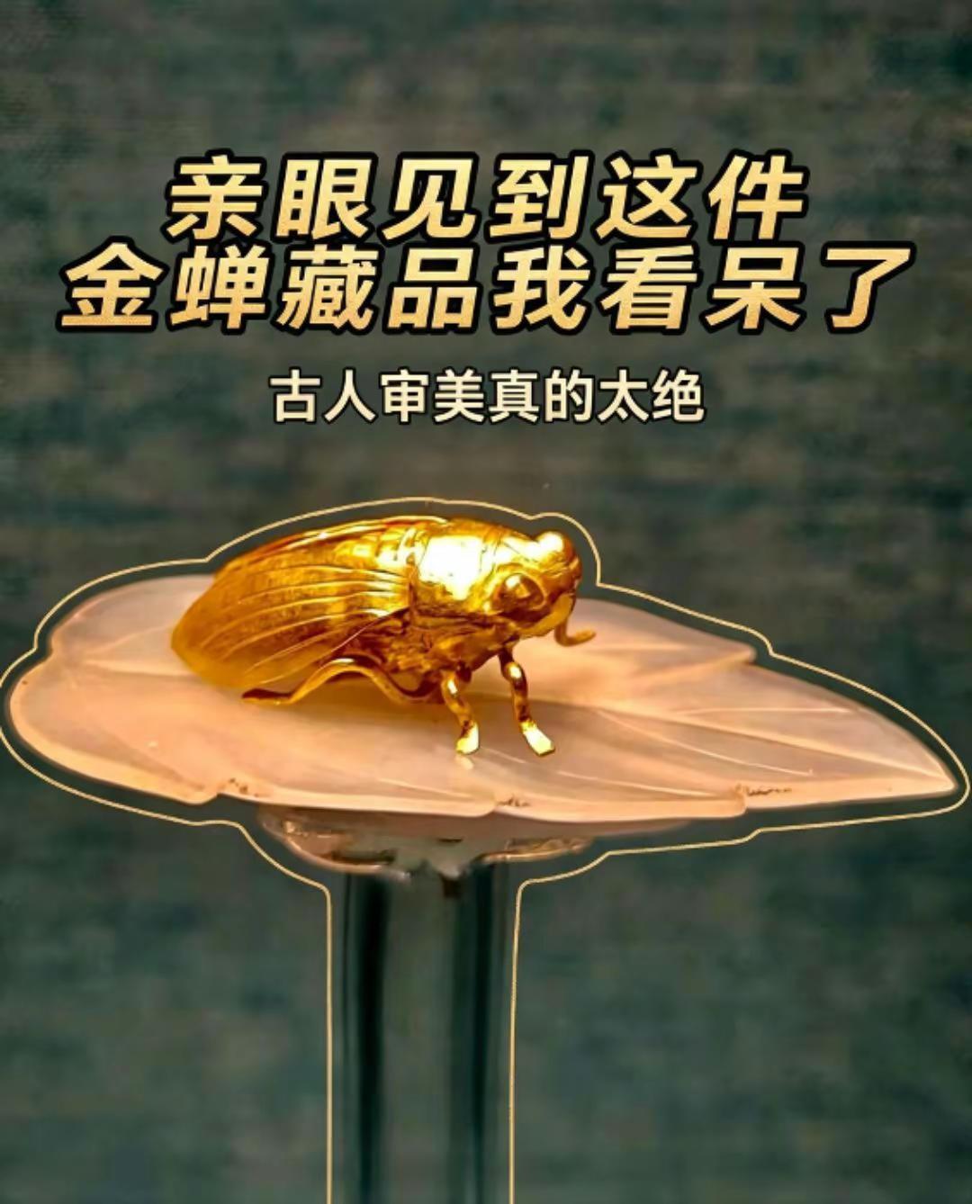 南京博物院镇馆之宝。穿越千年的文物 博物馆金器 文物里的传承 南博