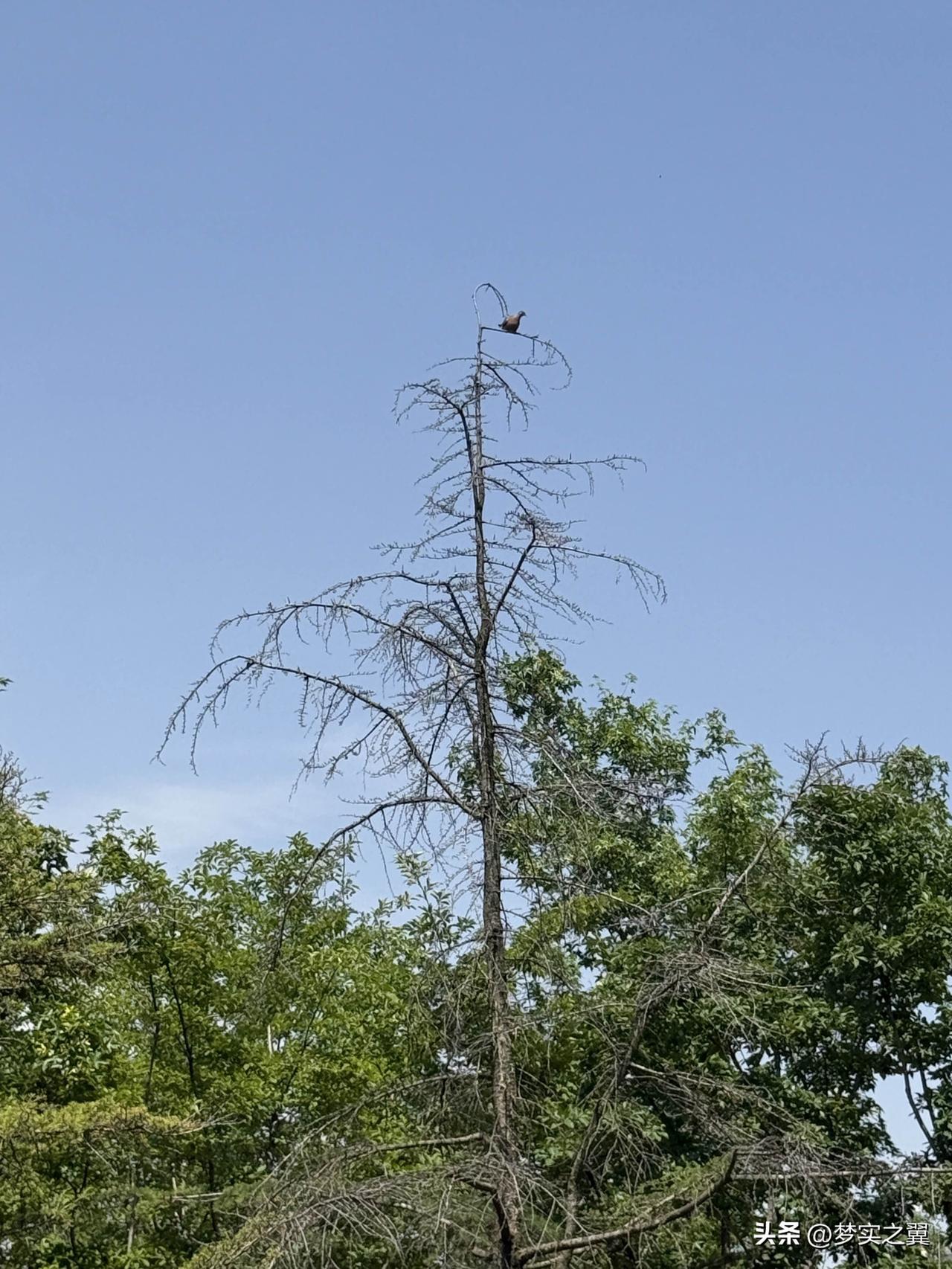 【小对联】
上：……？
下：架空。