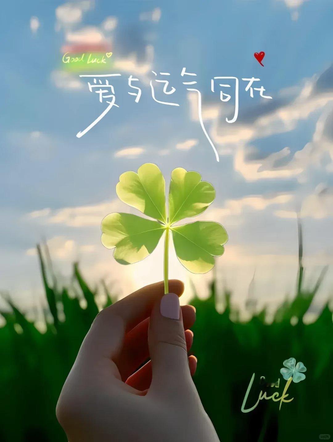 努力的日子充满热爱未知的世界常有惊喜​​早安朋友们[太阳][太阳][太阳] ​​