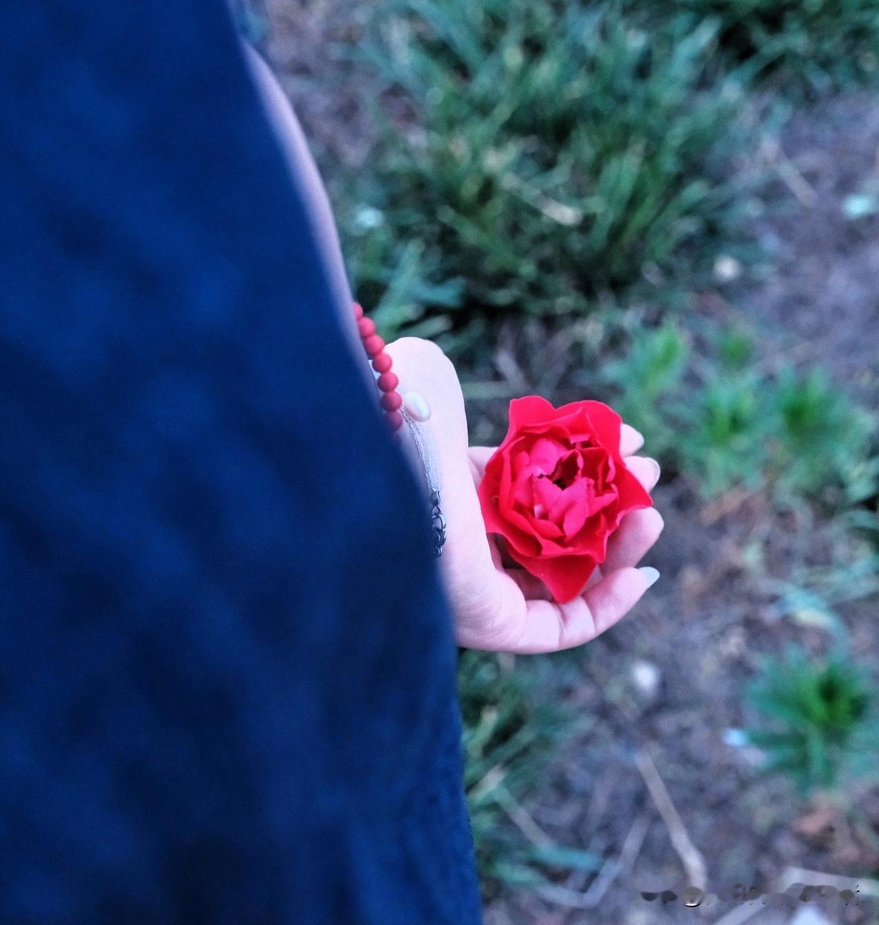 人到一定年岁，
会习惯性把情绪收好，
就像这四月末，
温度舒适，不凉不燥。

春