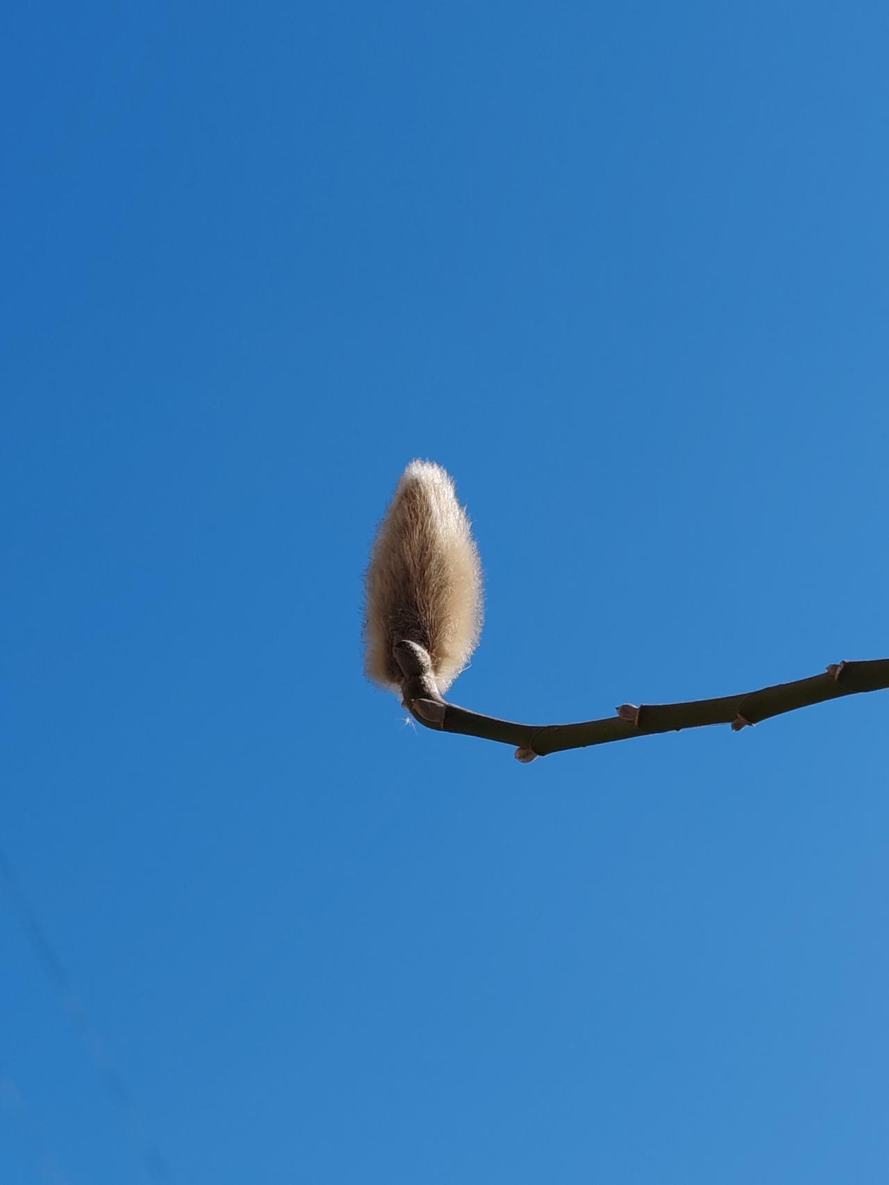 文化人有文化人的矜持，工人有工人的练达，农民有农民的热情。因所处环境各异，养成的