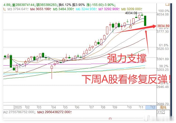 核心结论：短期已极度恐慌，下周大概率先有反抽再回落；大底未至但明年仍看牛，当前是