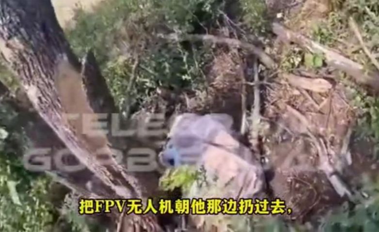 俄乌战场“俄军小队前线作战与清扫乌军阵地，到处都是阵亡士兵