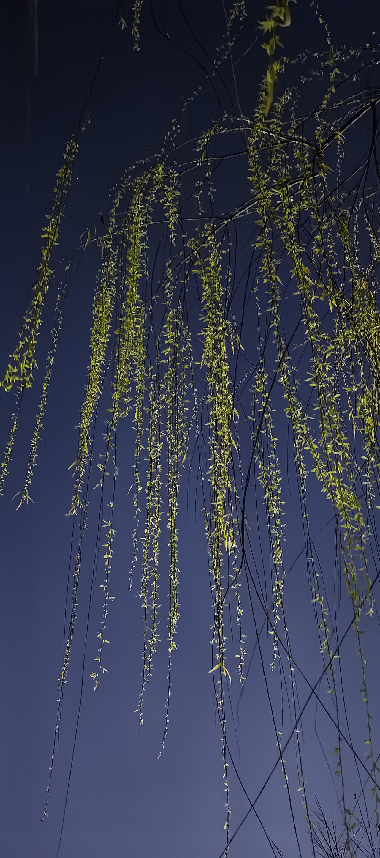 劳务派遣用工模式谁是最大受益者?同工同酬是社会公平的体现。劳务派遣人员的收入和正