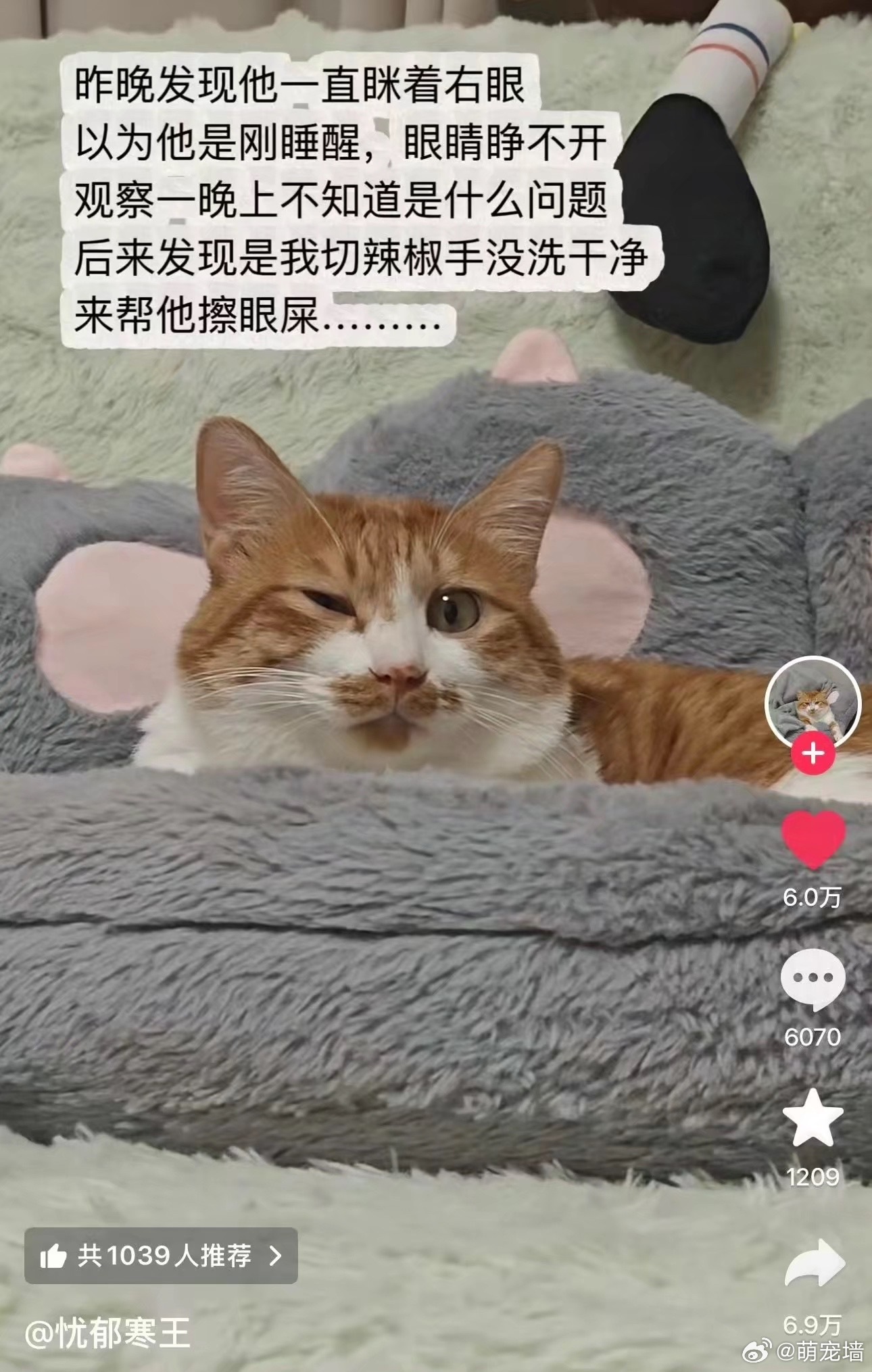 咪的天 