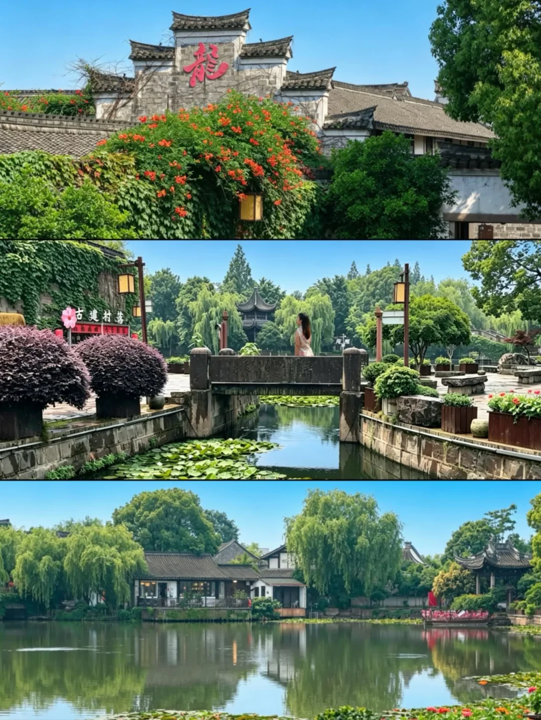宁波🏮住进明清古建大宅院！凌霄花已盛开💕