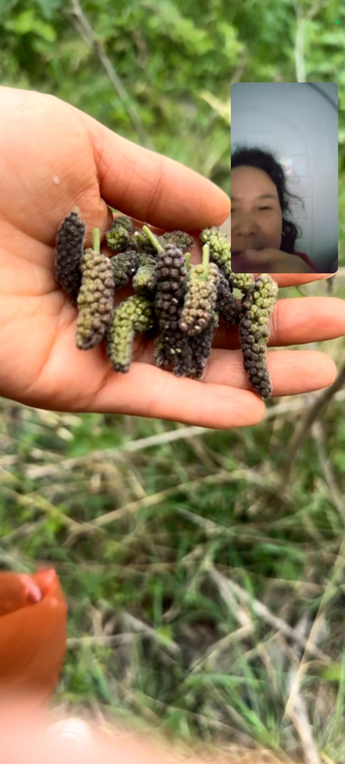 分享我这周有趣的事：       清明踏青，儿子一家去中牟附近游玩，刚刚发来视频