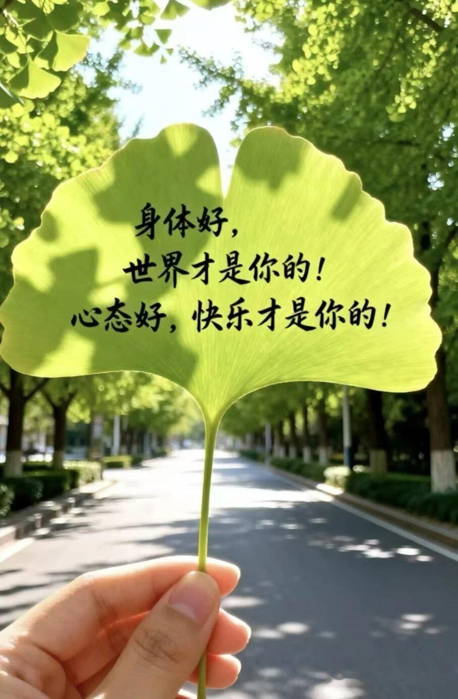 身体好，心态好才是真的好！