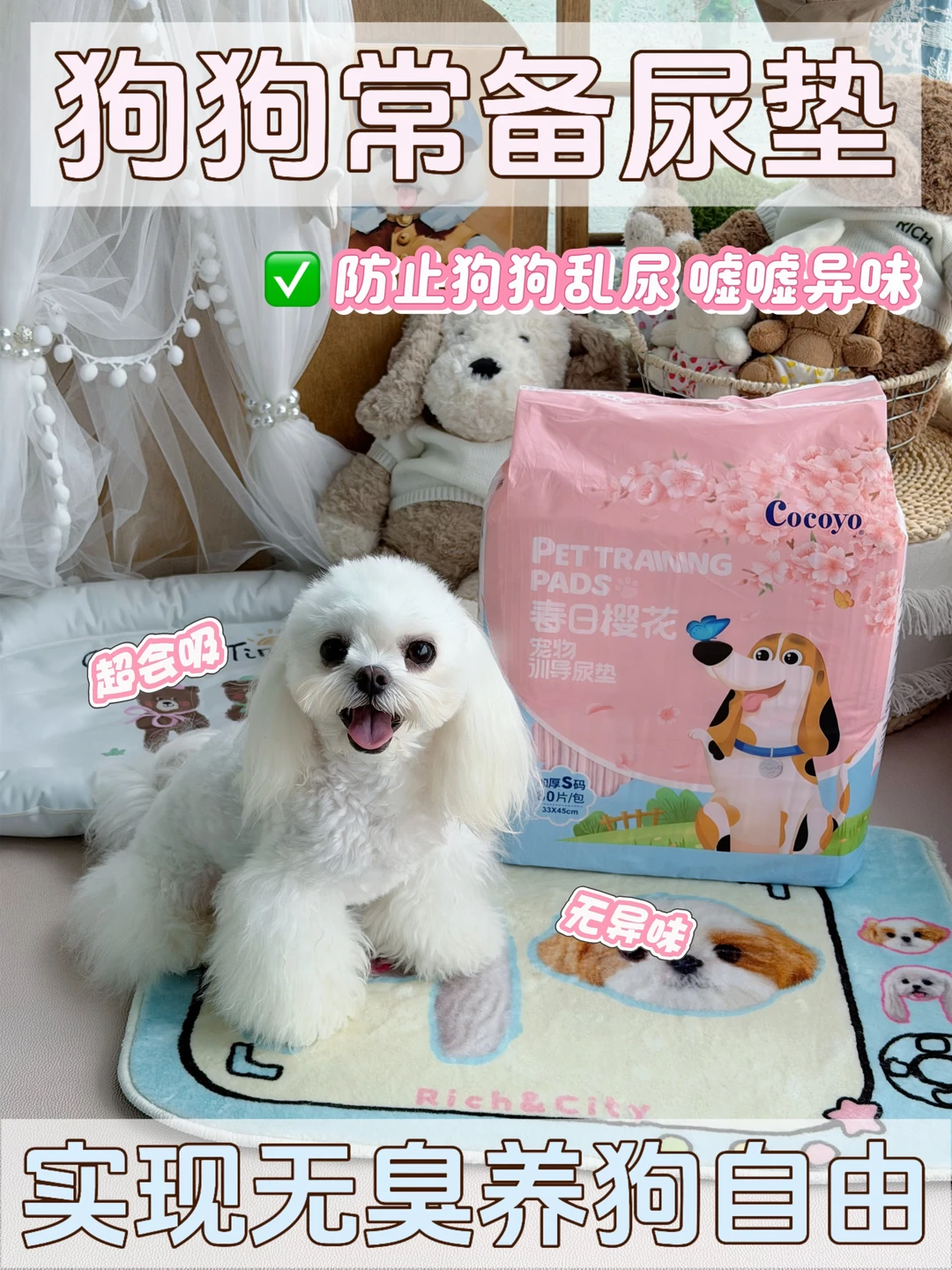 🆘选对尿垫让狗狗定点事半功倍